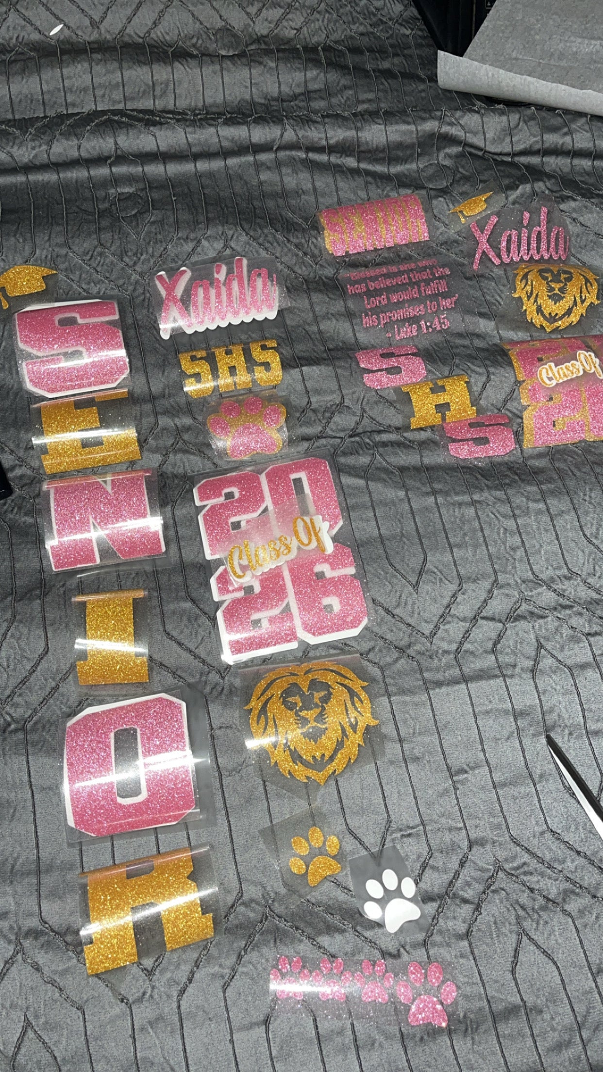 Senior DIY Kit Decals Iron on letters