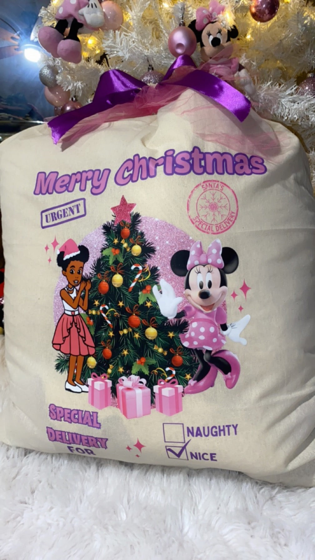 Santa Sack