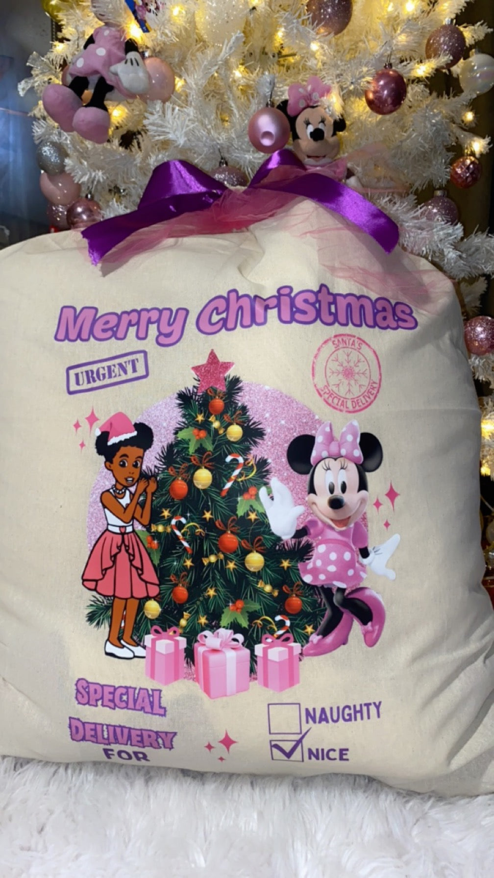 Santa Sack